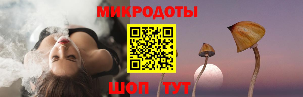 Псилоцибиновые грибы Psilocybe Тихорецк